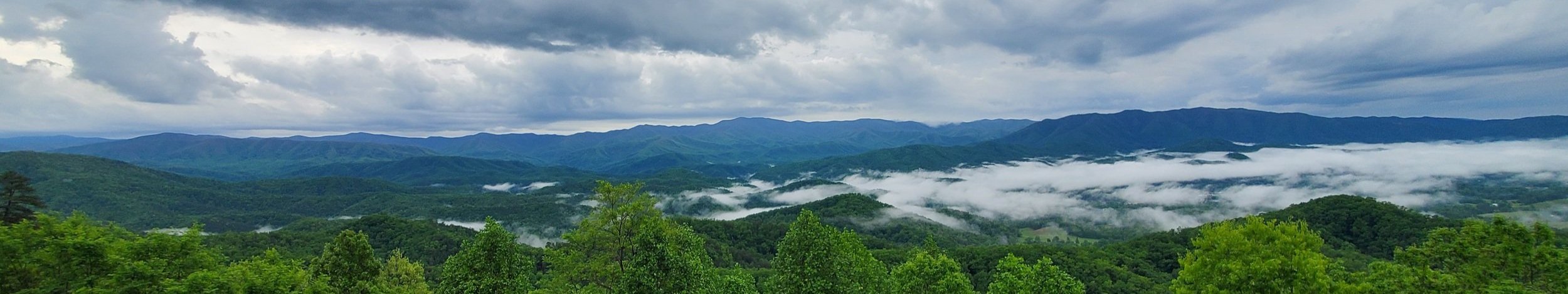 20250503_085935.jpg